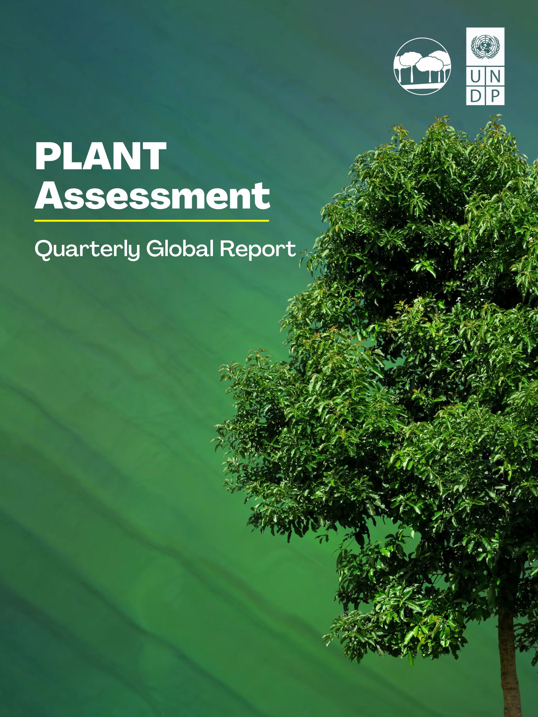 PLANT Quarterly Global Assessment Report Climate and Forests